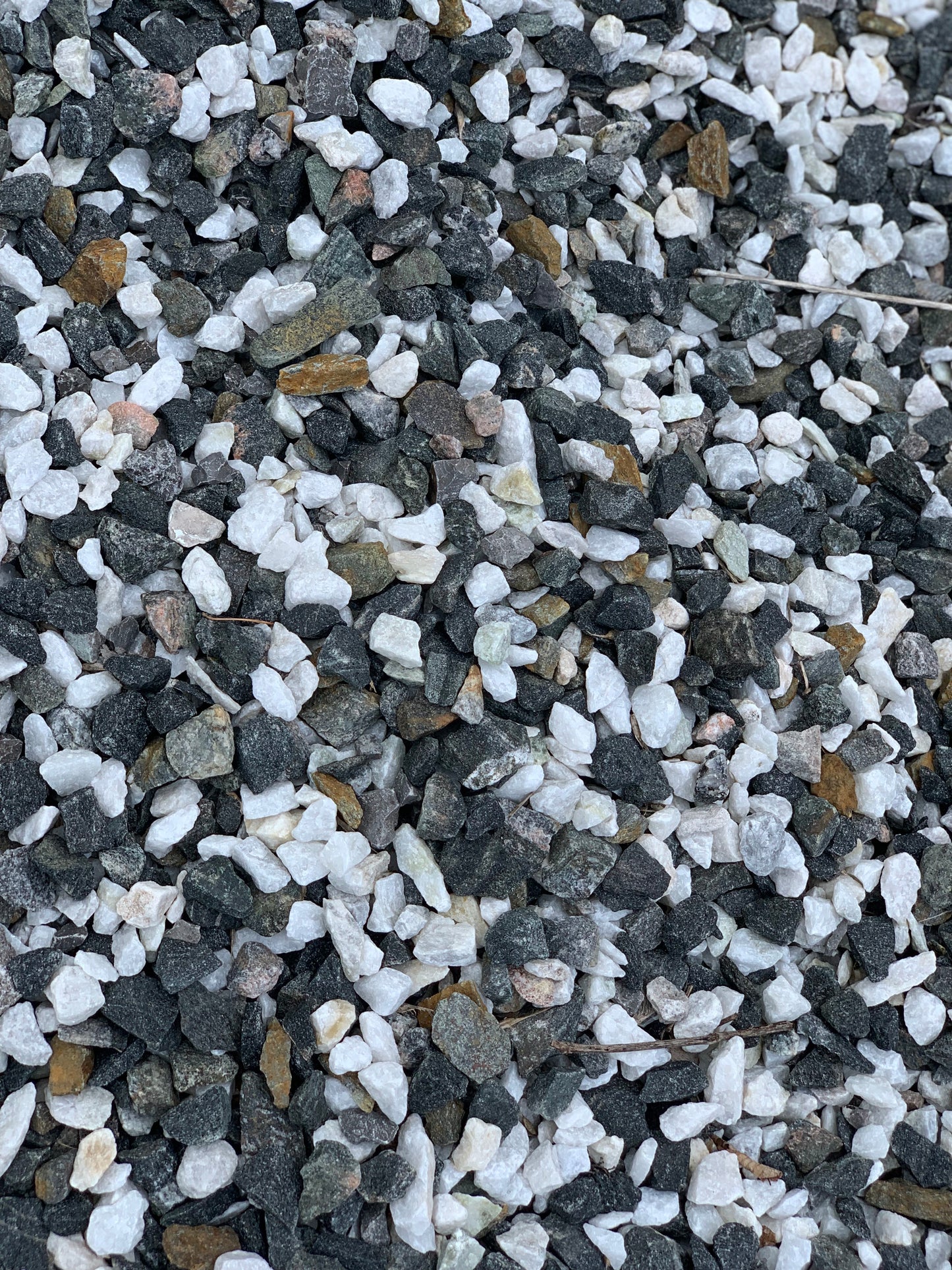 Granite Dalmatian Blend