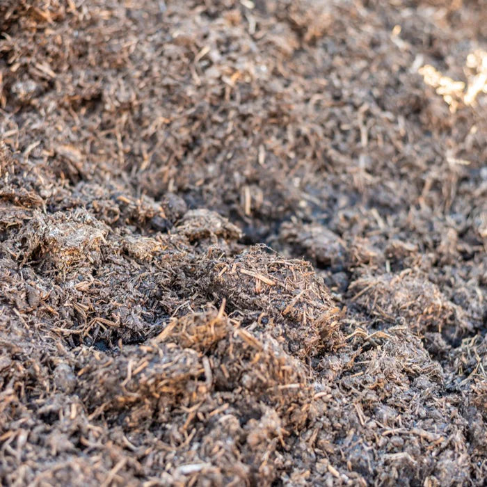 Mushroom Compost