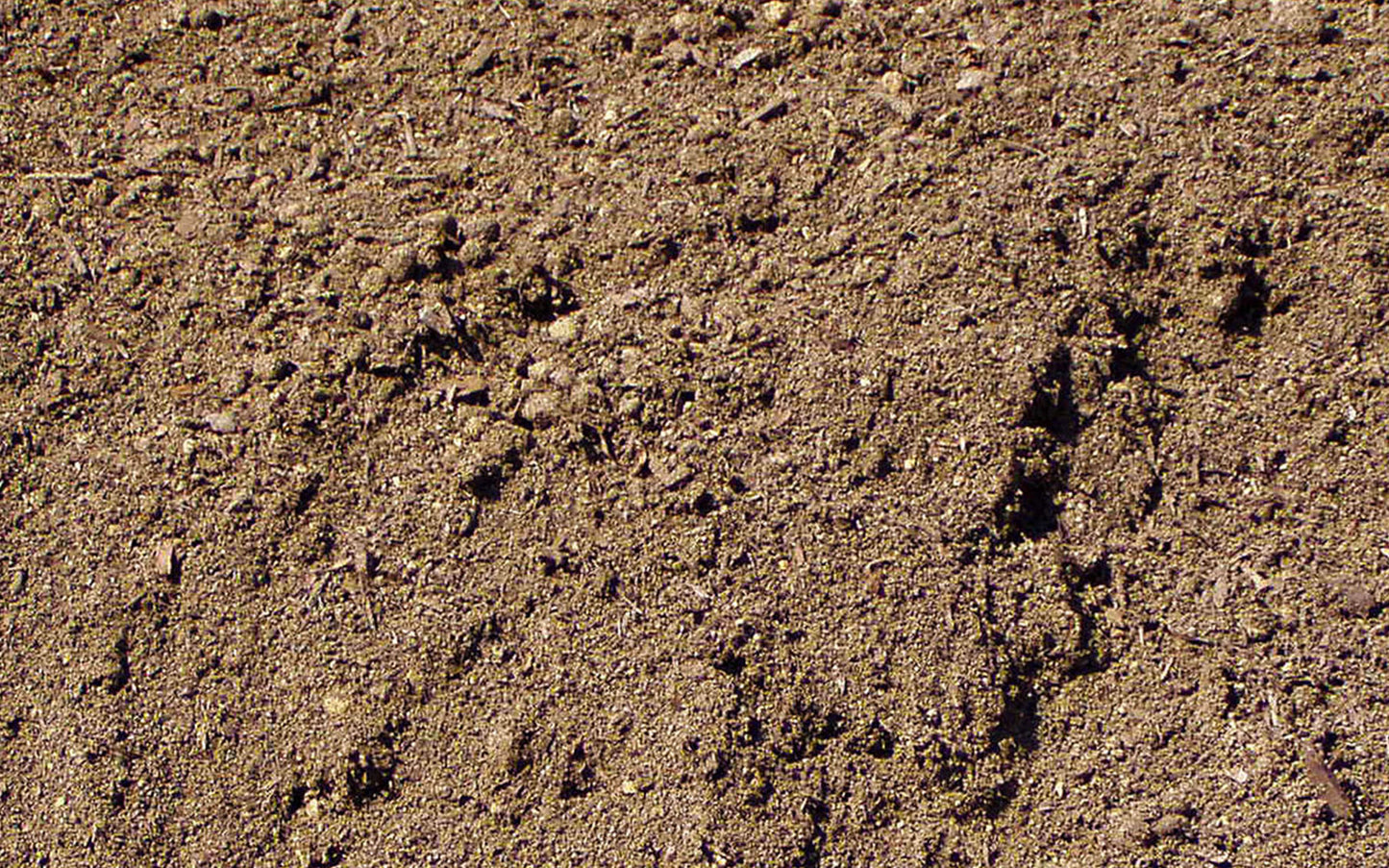 Contractor Grade Top Soil